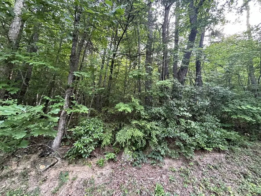 n/a Wilder Hwy, Jamestown, TN 38556 - #2