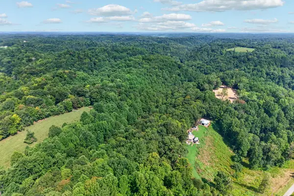 195 Hack Dyer Ln., BLOOMINGTON SPRINGS, TN 38545
