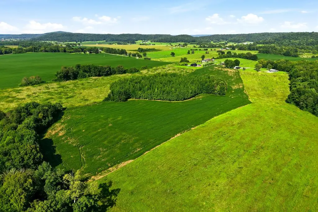 TBD Horton Rd, Quebeck, TN 38579 - #1