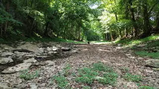 0 Spring Creek Road, Buffalo Valley, TN 38548-5222 - #3