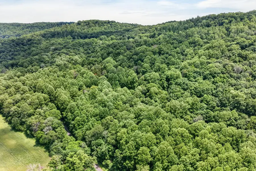 1088 Lee Hollow Rd, Sparta, TN 38583 - #2