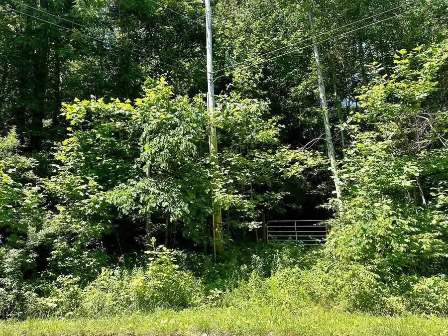 2036 Bear Creek, Cookeville, TN 38506 - #3