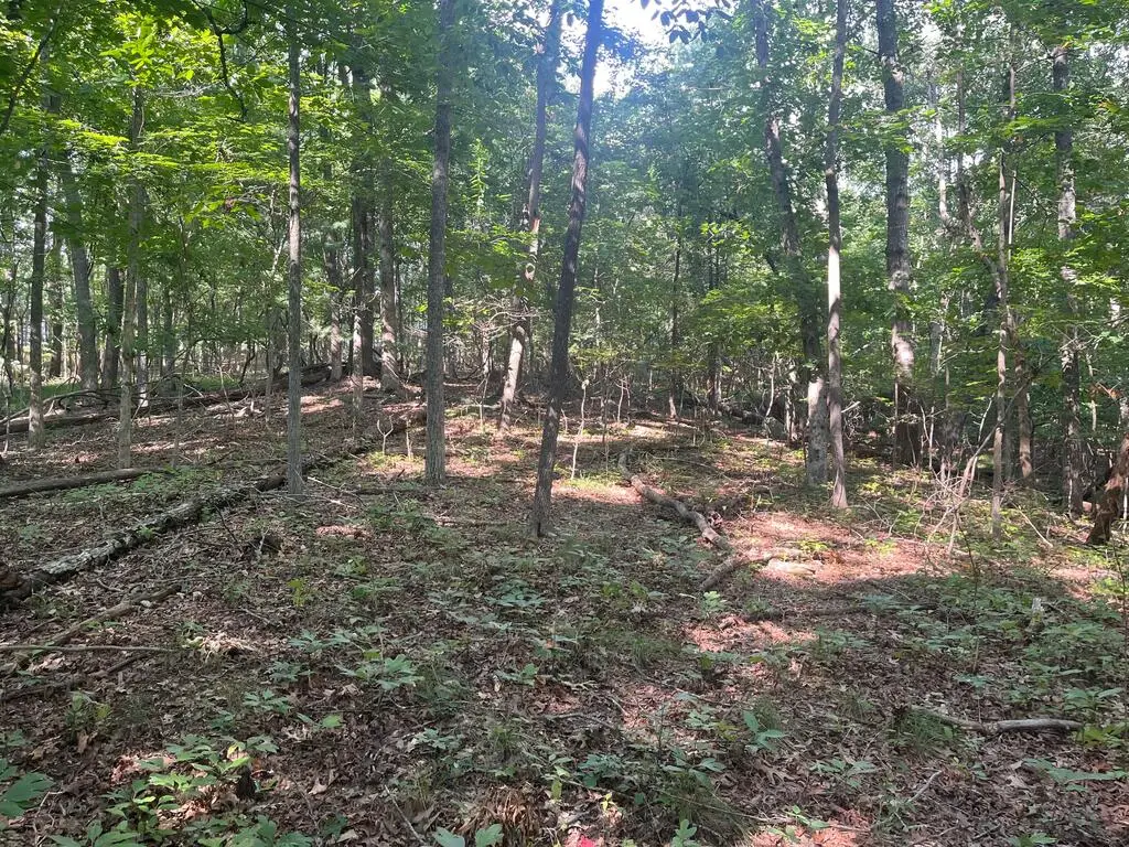110 Ivy Lane, Crossville, TN 38555 - #1