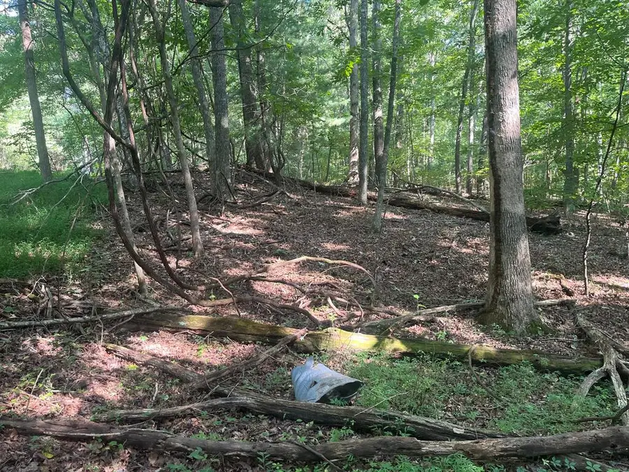 110 Ivy Lane, Crossville, TN 38555 - #2