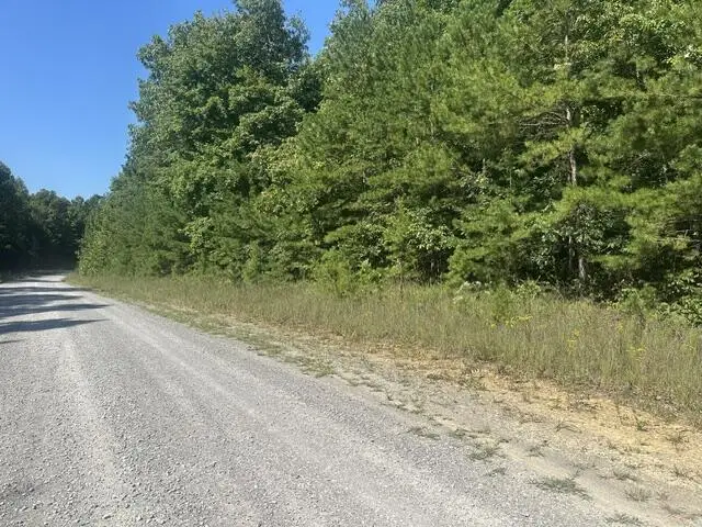 Lot 70 Parkstown Ext, Wilder, TN 38589 - #2