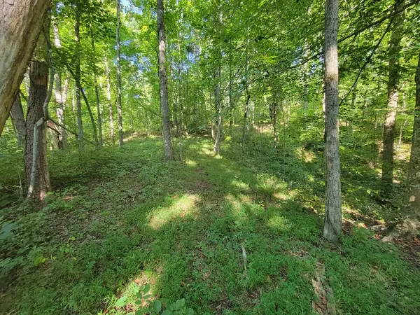 Lot 24 Russell Road, Rock Island, TN 38581