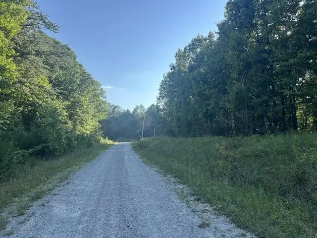 111 Indian Village Lane, Wilder, TN 38589 - #2