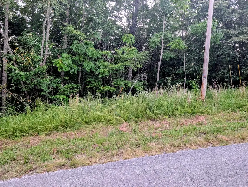 Lot 109 Chimney Rock Road, New Tazewell, TN 37825 - #1