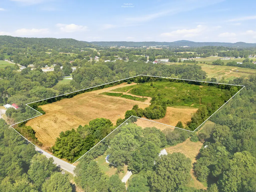 311 W Gooseneck Rd, Doyle, TN 38559 - #1