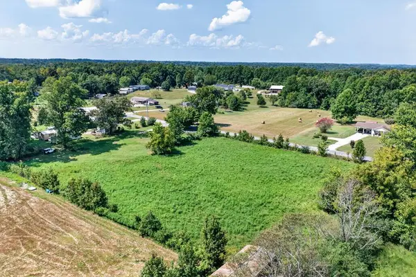 1413 Hulon Ferrell Rd, BLOOMINGTON SPRINGS, TN 38545
