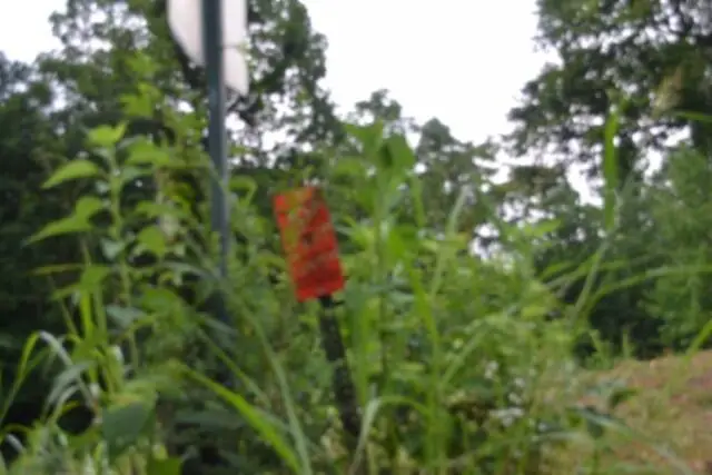 2390 (lot 2) Pea Ridge Fire Town Rd, Celina, TN 38551 - #3