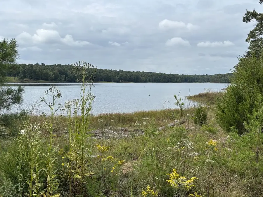 Lot 85 Holly Lane, Spencer, TN 38585 - #3