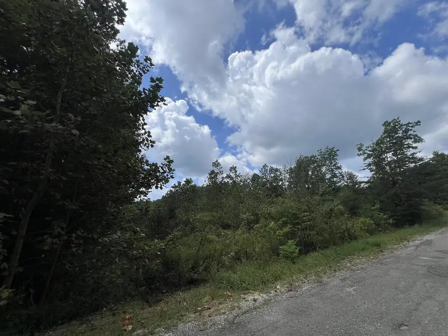 5 AC George Branch Dr, Monterey, TN 38574 - #2