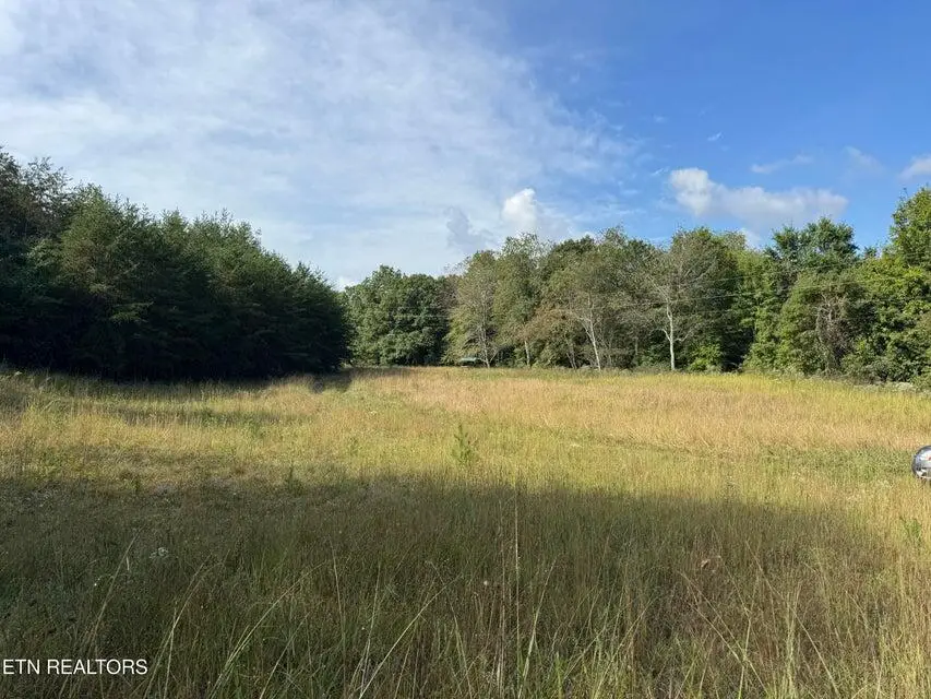 - Davis Rd, Deer Lodge, TN 37726 - #1