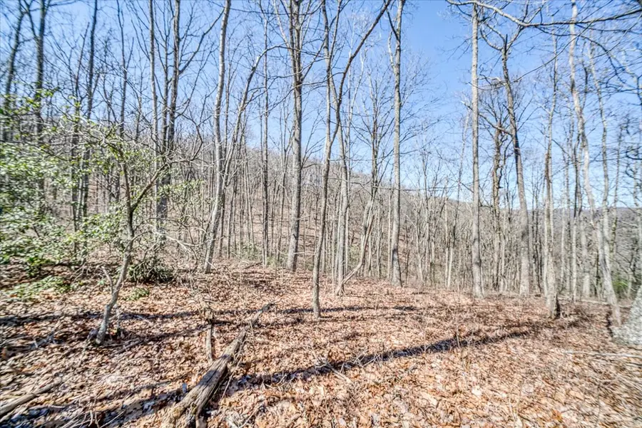 0 Lots 734 & 735 Renegade Pkwy, Crab Orchard, TN 37723 - #3