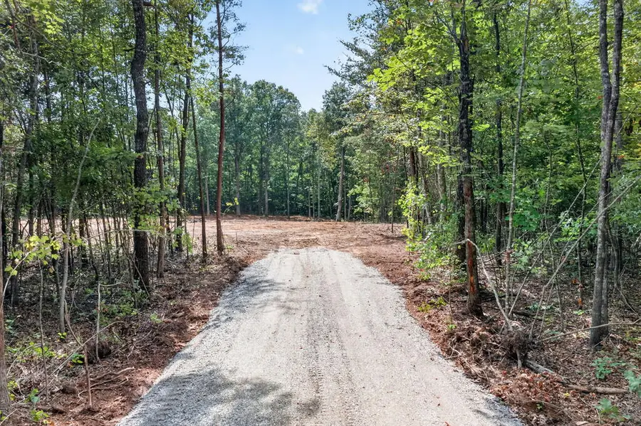 205 High Flats Rd, Monterey, TN 38574 - #3