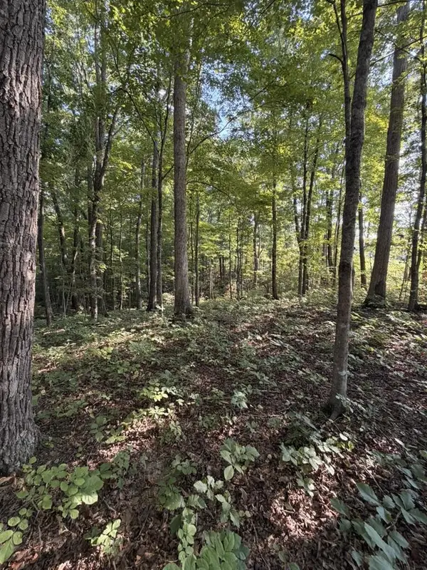 1700 Canada Flatt Road, COOKEVILLE, TN 38506