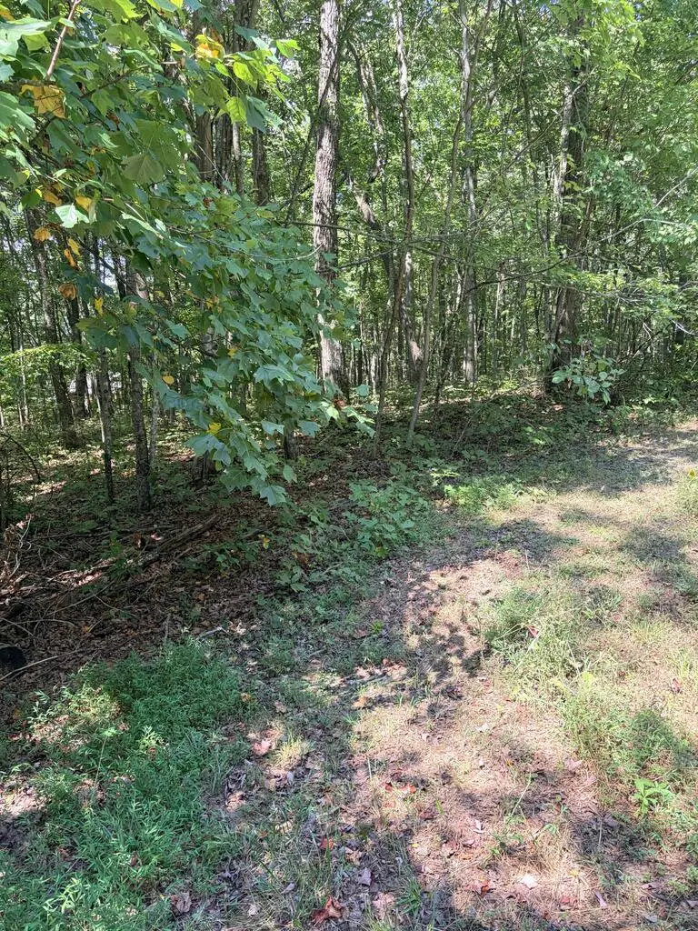lot 5 Cowpens, Monterey, TN 38574 - #3