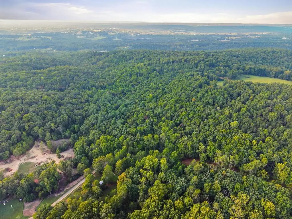 0 Bat Town, Crab Orchard, TN 37723 - #1