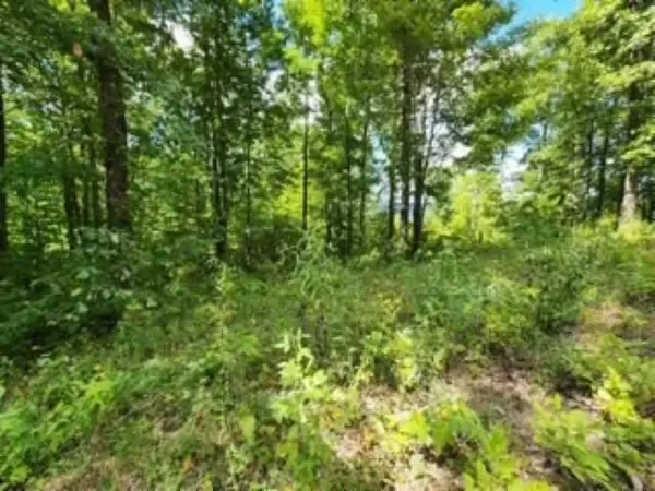 14.34ac Tomahawk Rd, Jamestown, TN 38556