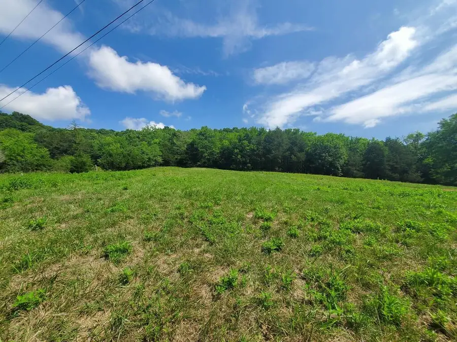 0 Preston Ln Lot 1, Elmwood, TN 38560 - #2