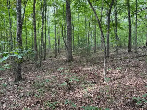 - Wildcat Rd, Jamestown, TN 38556