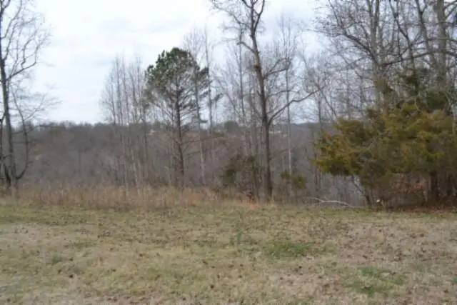 Lots 4&5 Fox Hill Road, Baxter, TN 38544 - #1