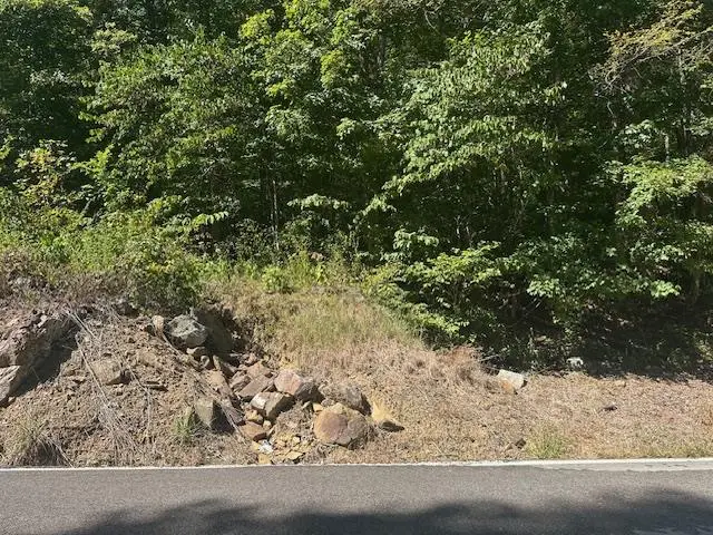 LOT 364A 6360 Wilder Hwy, Wilder, TN 38589 - #1