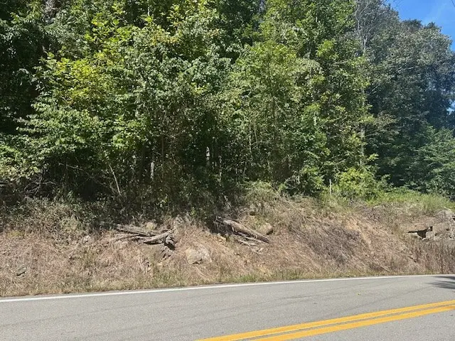 LOT 364A 6360 Wilder Hwy, Wilder, TN 38589 - #2