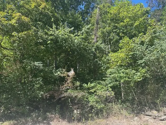 LOT 364A 6360 Wilder Hwy, Wilder, TN 38589 - #3