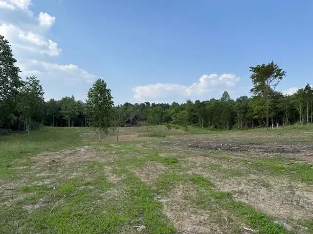 0 Roy Foster Rd, McMinnville, TN 37110 - #1
