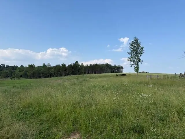 0 Roy Foster Rd, McMinnville, TN 37110 - #3