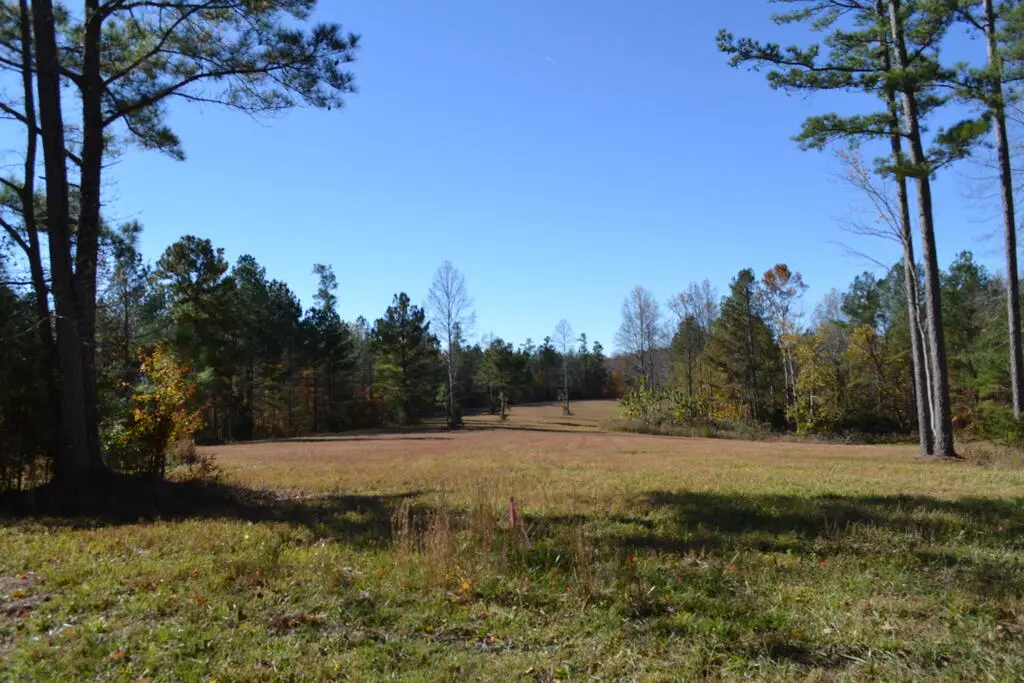 158B Nature Trail Lane, Red Boiling Springs, TN 37150 - #1