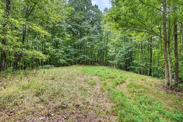 Lot 27 Timber Ridge Lane- Phase Ii, Celina, TN 38551