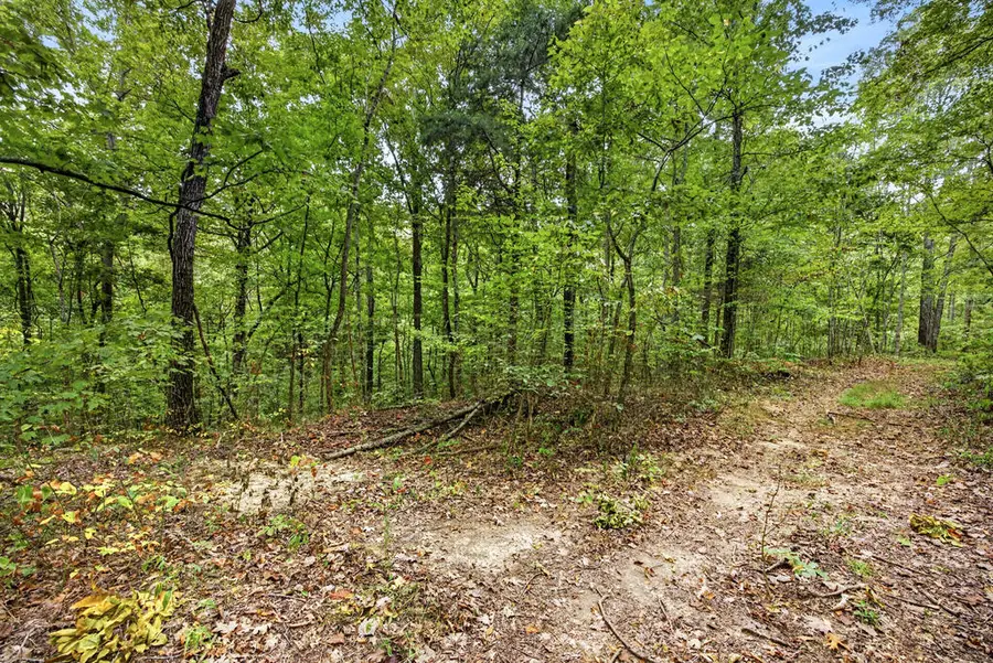 Lot 22 Timber Ridge Lane- Phase Ii, Celina, TN 38551 - #2