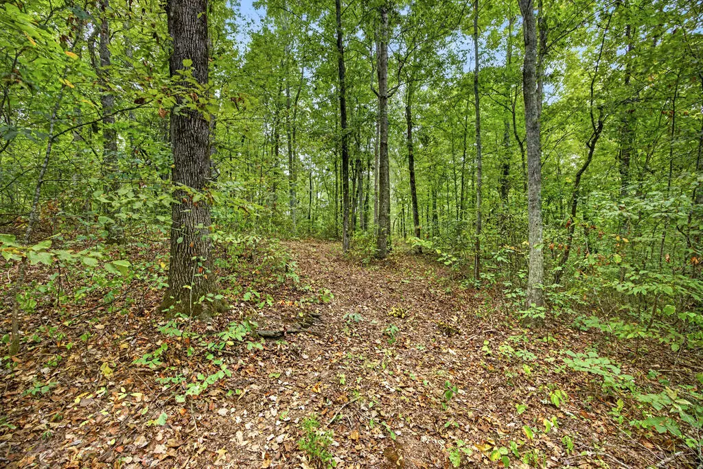 Lot 21 Timber Ridge Lane- Phase Ii, Celina, TN 38551 - #1