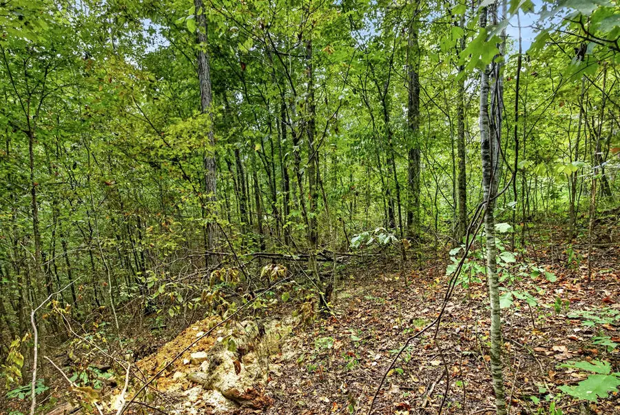Lot 20 Timber Ridge Lane- Phase Ii, Celina, TN 38551 - #3