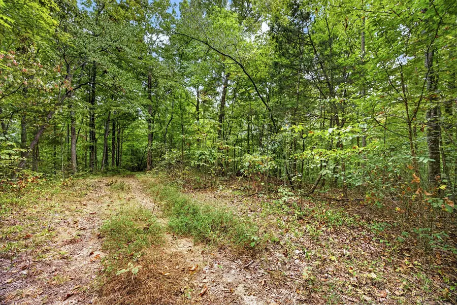 Lot 23 Timber Ridge Lane- Phase Ii, Celina, TN 38551 - #3