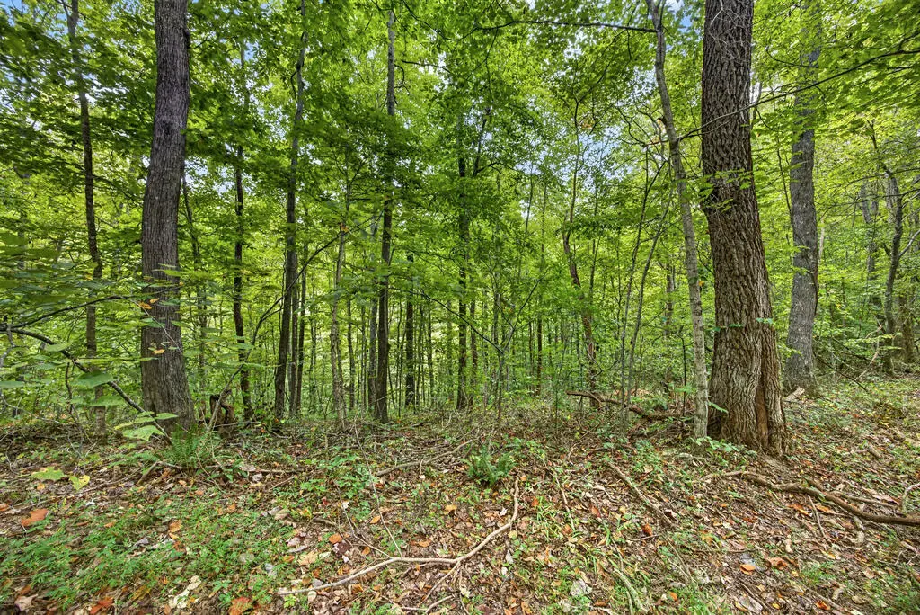 Lot 25 Timber Ridge Lane- Phase Ii, Celina, TN 38551 - #1