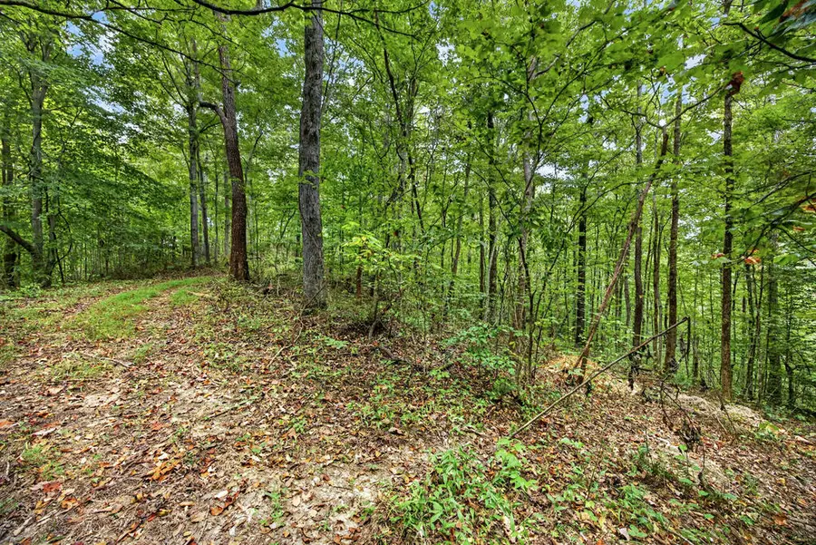 Lot 25 Timber Ridge Lane- Phase Ii, Celina, TN 38551 - #3