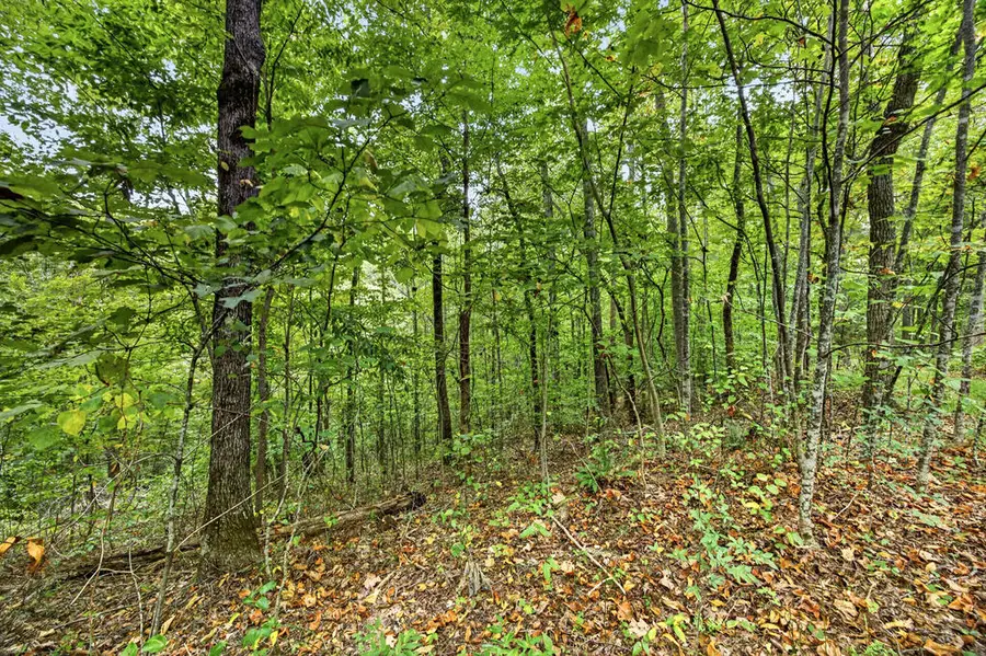 Lot 26 Timber Ridge Lane- Phase Ii, Celina, TN 38551 - #2