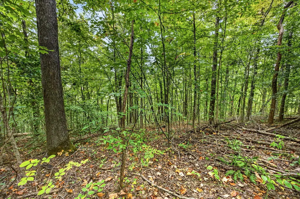 Lot 29 Timber Ridge Lane- Phase Ii, Celina, TN 38551 - #1
