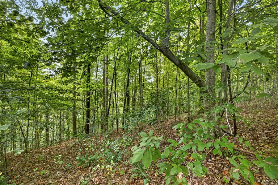 Lot 30 Timber Ridge Lane- Phase Ii, Celina, TN 38551 - #3