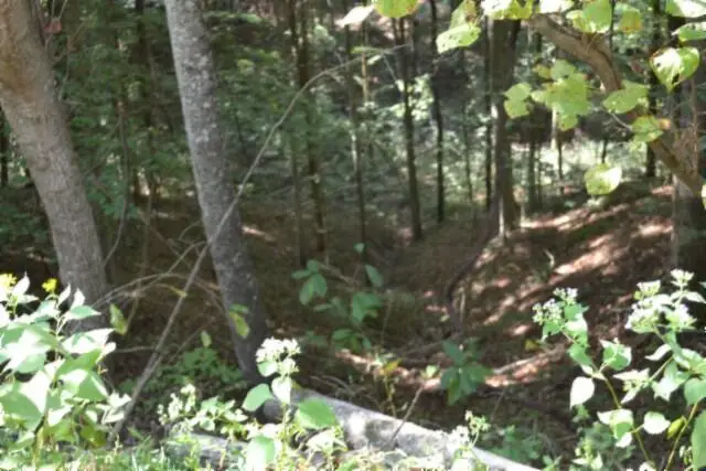 Lot 4&7 Weber Lane, Celina, TN 38551 - #3