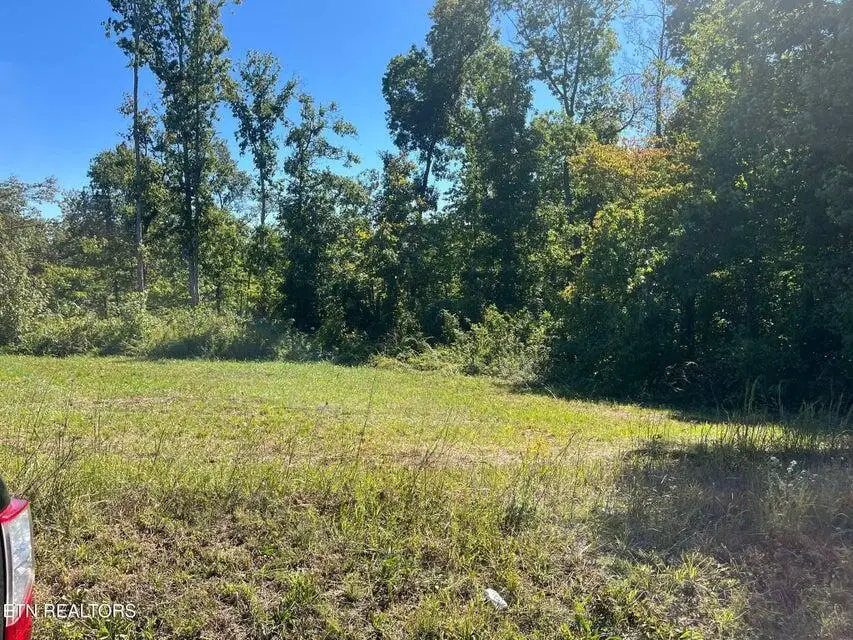 - Brewstertown Rd, Robbins, TN 37852 - #3