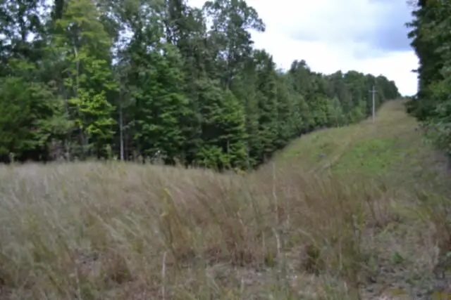 25.80ac Zizka Drive (east Glade Creek Rd), Sparta, TN 38543 - #2