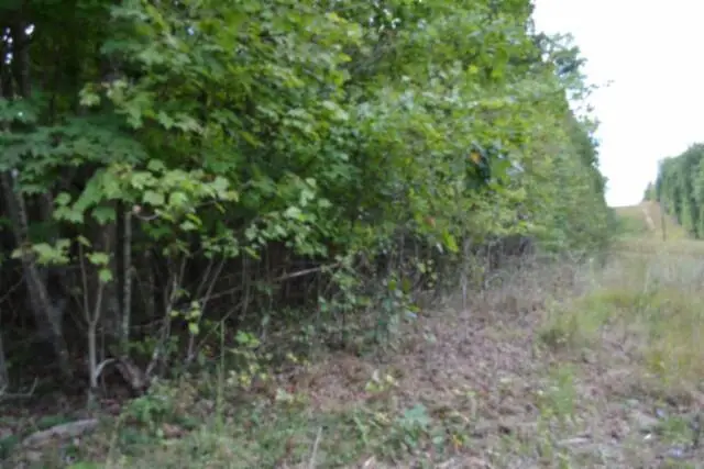 25.80ac Zizka Drive (east Glade Creek Rd), Sparta, TN 38543 - #3