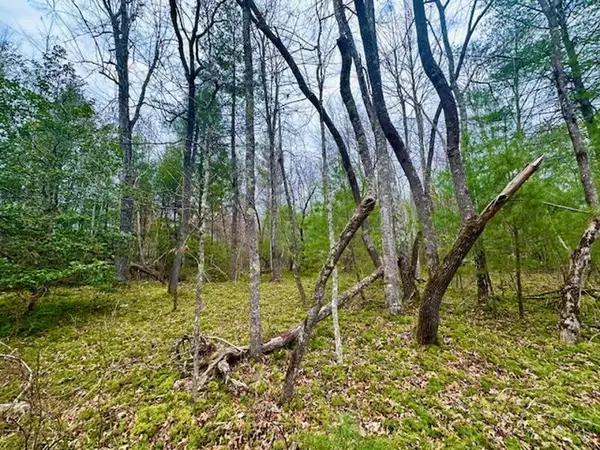 144 Gunter Place Rd, Sunbright, TN 37872