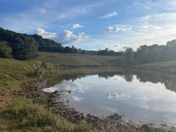 1380 Conrad Templeton Rd, QUEBECK, TN 38579