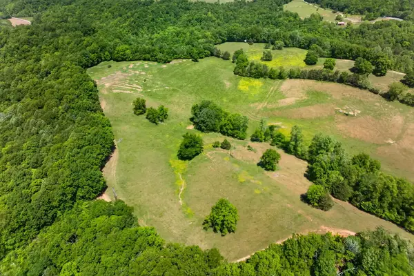 127.57Ac Homer Watson Rd, BURKESVILLE, KY 42717